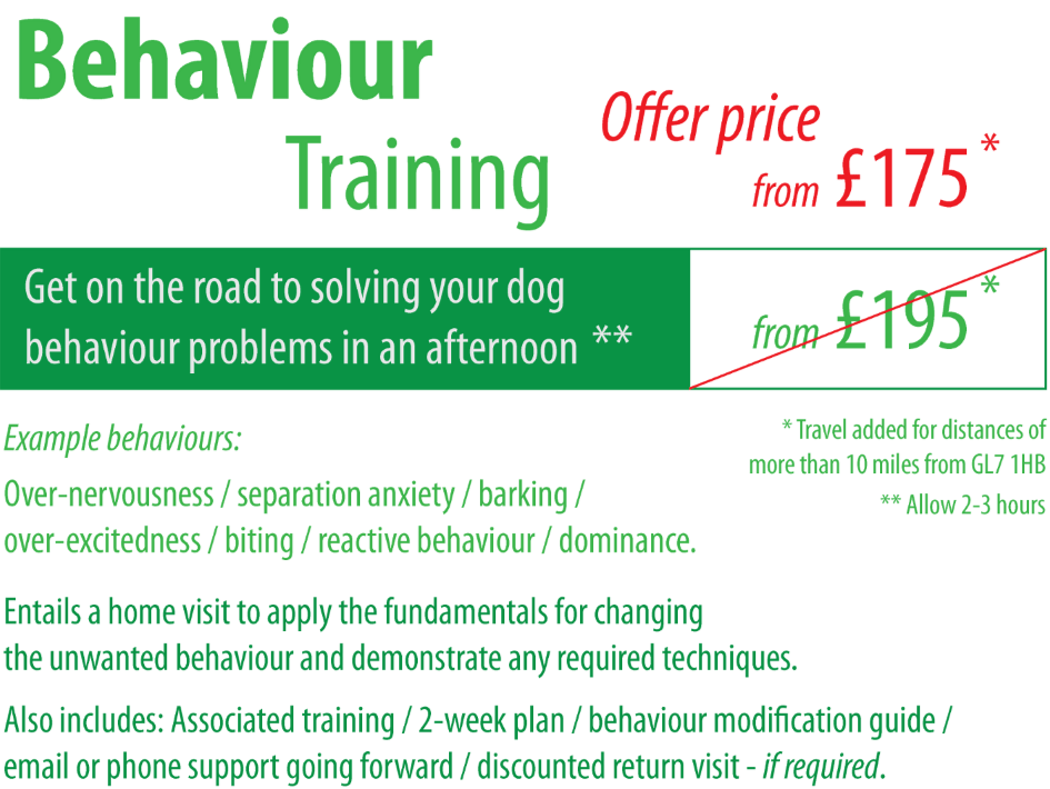 YES! Dog Behaviour Training Gloucestershire, Oxfordshire & Wiltshire