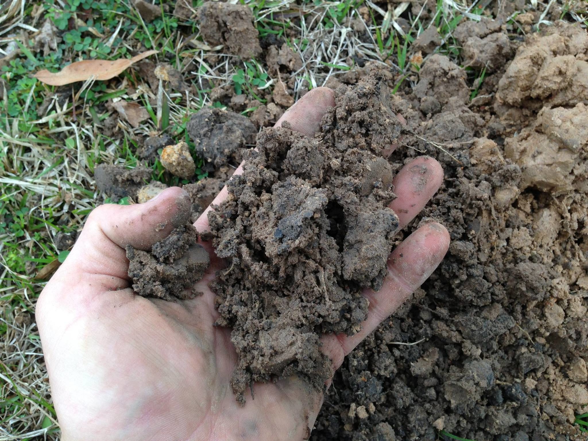 Alkaline Soils Characteristics, Challenges, and Solutions Yetrac