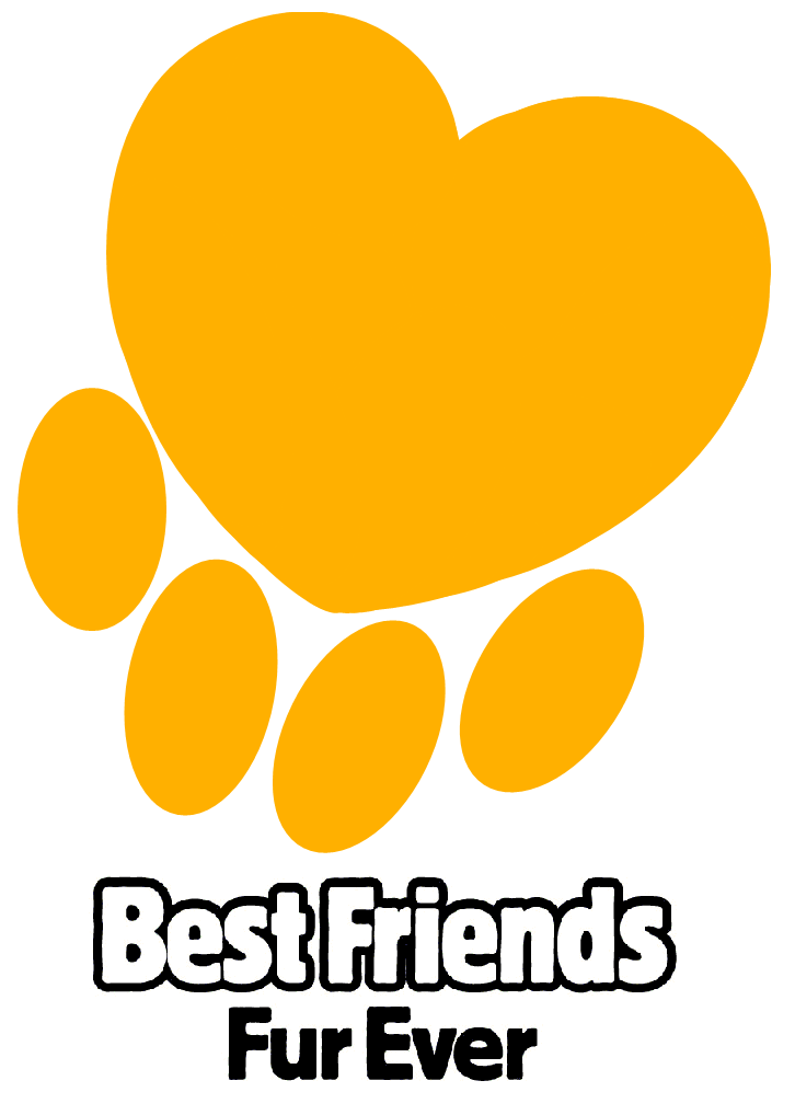 Best Friends Fur Ever 1009 Philadelphia Rd Joppa, MD Pet Training