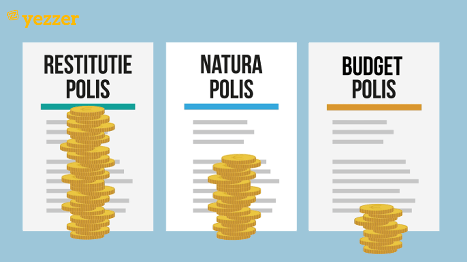 Het Verschil Tussen Natura-, Restitutie- En Budgetpolissen