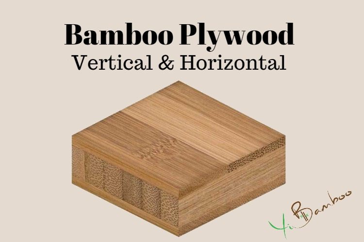 What Kind Of Bamboo Plywood More Strong?