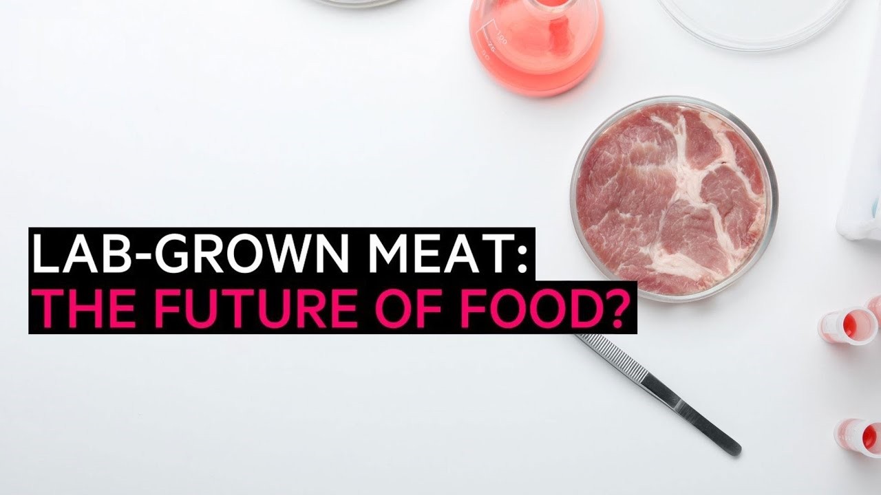 Lab grown food Is it the future of food? YIIS Technology