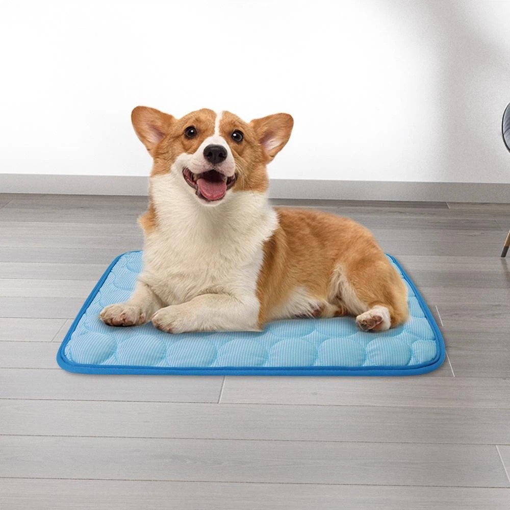 pet wee mat Manufacturers and Suppliers Customized Products Quotation