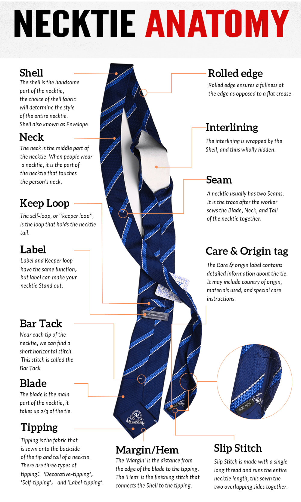 News The Necktie Structure Anatomy