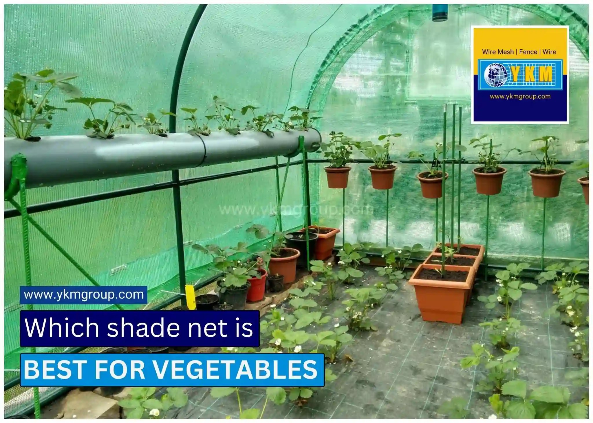 Which Shade Net is best for vegetables Explained YKM