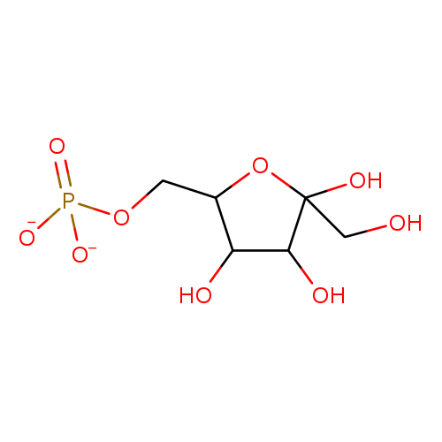 xylitol degradation Yeast Metabolome Database