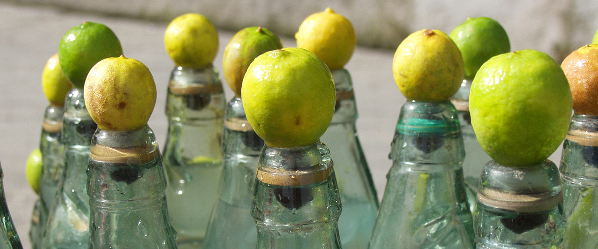 UTIs yoU are Too busy for this noIse YNOT CAM