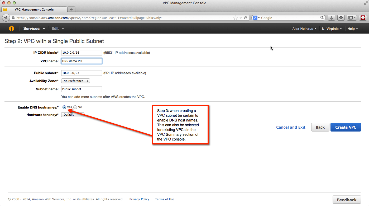 How to use AWS DNS in a VPC Thinking aloud