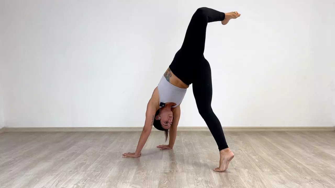 Tutorial Animal Flow • Yoga 4 Climbers