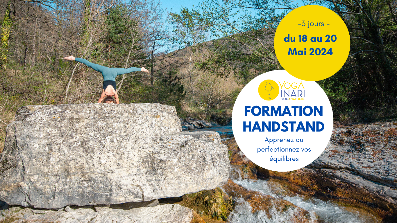 Formation HANDSTAND avec Inari et Olie Yoga Yoga Inari