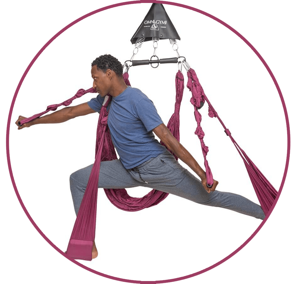 Purple Yoga Swings, Trapeze & Stands Since 2001