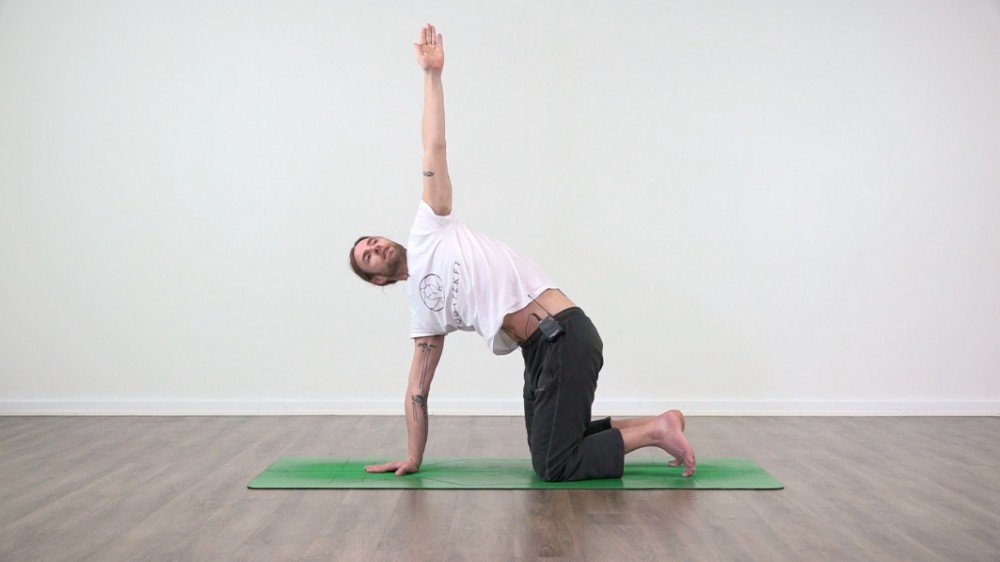 Downward Dog Shoulders YOGATEKET