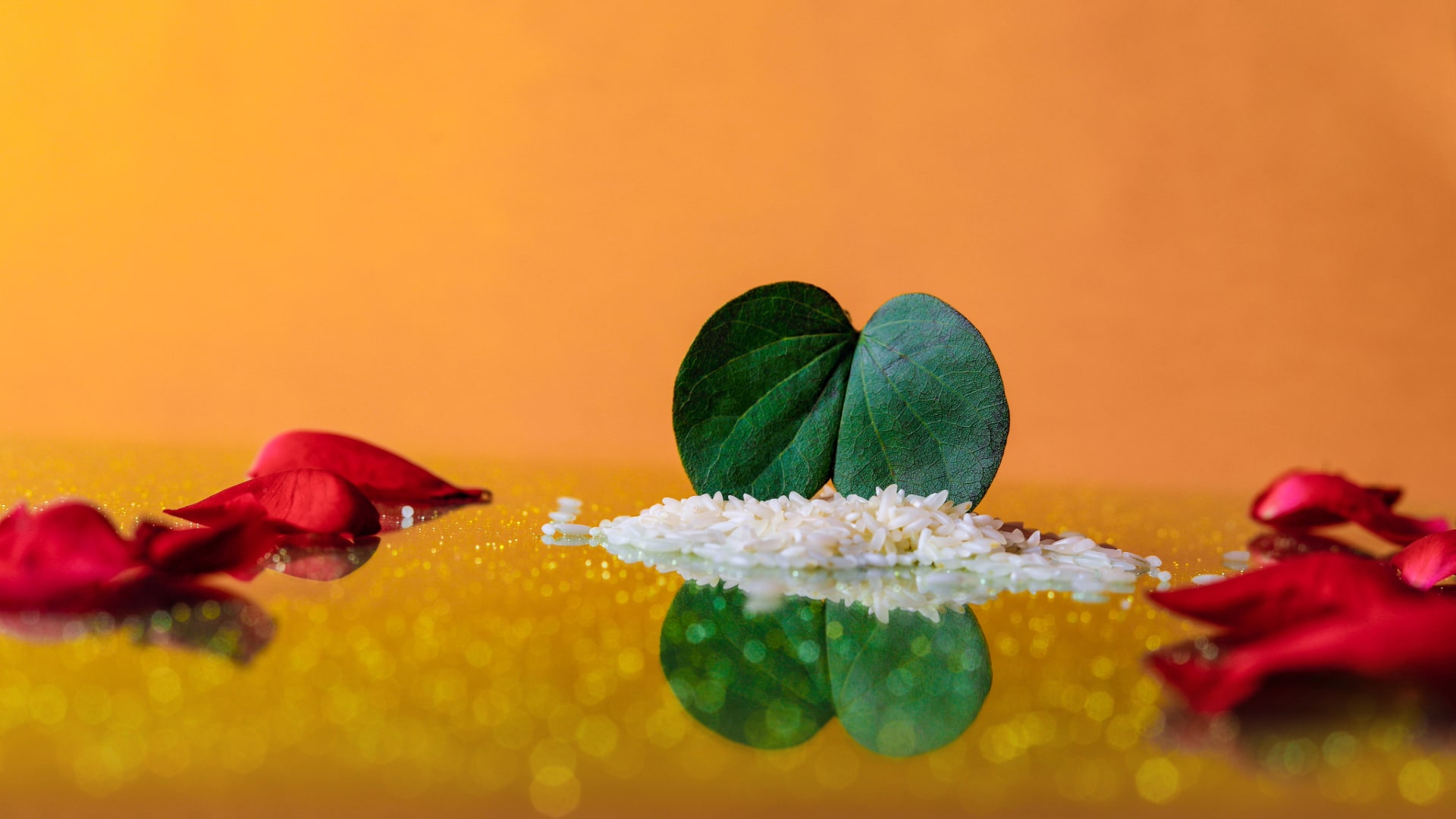 Vijayadashami 2025 Usaf Email Vijaya Dashami Yogaville