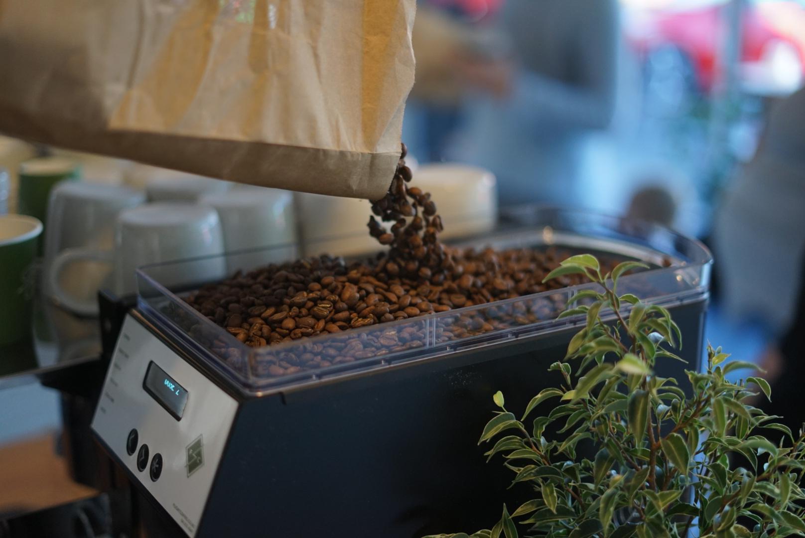 Yonder Coffee Flight Coffee Wellington, New Zealand