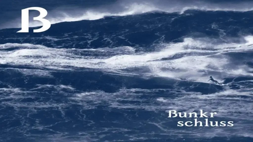 Bunkr Albums Explained The Unique World of Experimental Electronica