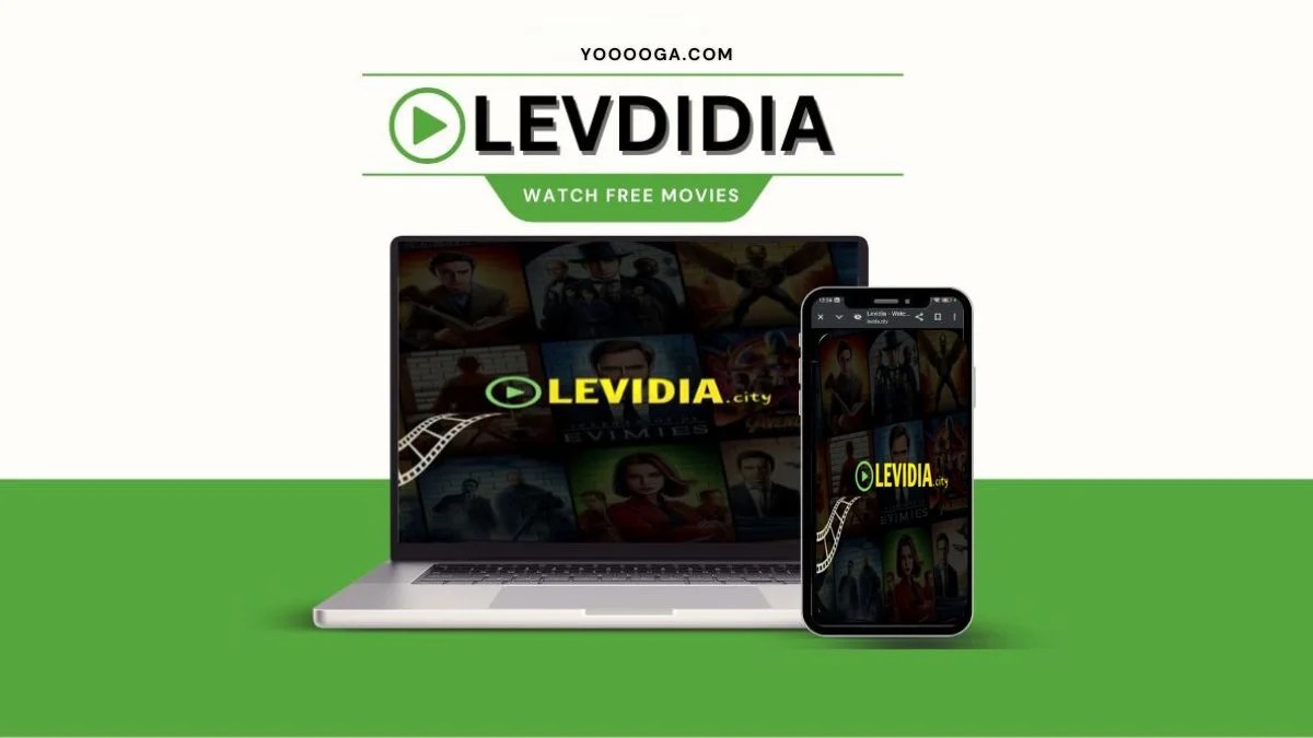 Levidia A Comprehensive Look at the Free Streaming Platform