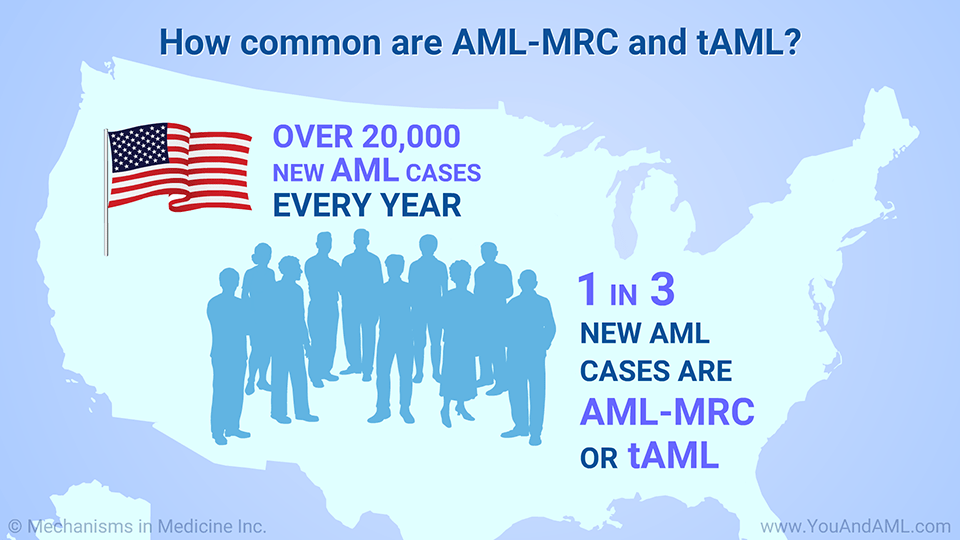 Slide Show Understanding AMLMRC and tAML