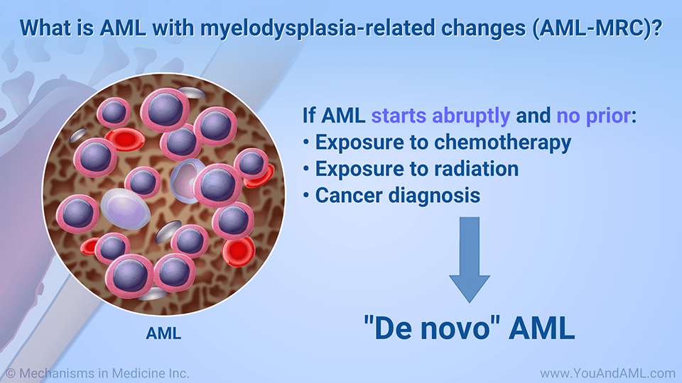 Slide Show Understanding AMLMRC and tAML