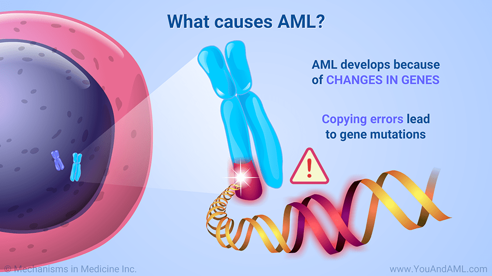 Slide Show Understanding AML