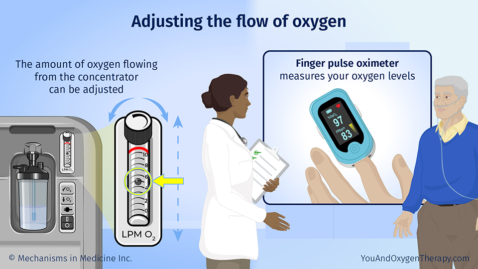 Slide Show Using Your Stationary Oxygen Concentrator