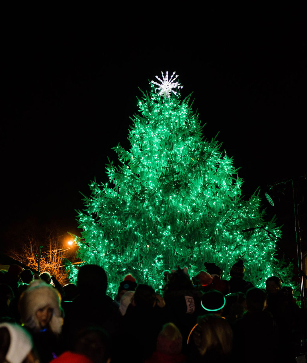 Westfield in Lights Downtown holiday tradition returns Dec. 4. • Current Publishing