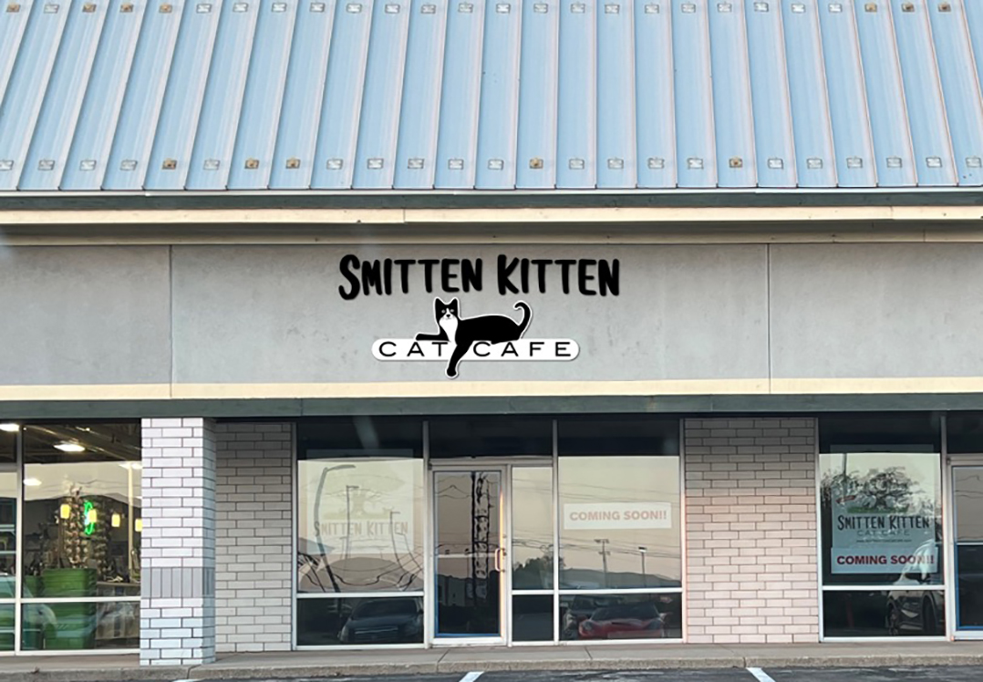Smitten with kittens Hamilton County’s first cat cafe set to open in