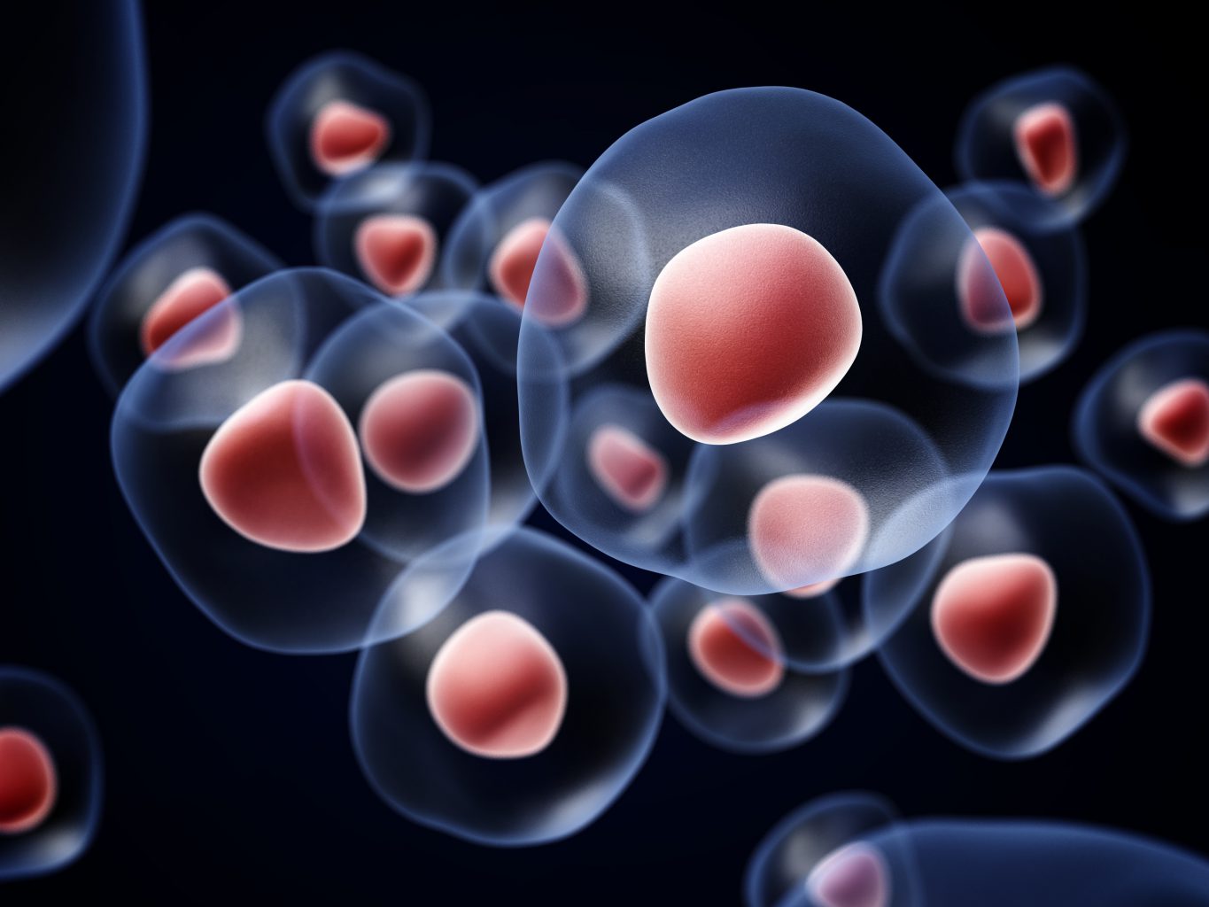 Stem Cells I decided to store my baby’s umbilical stem cells with Salveo.