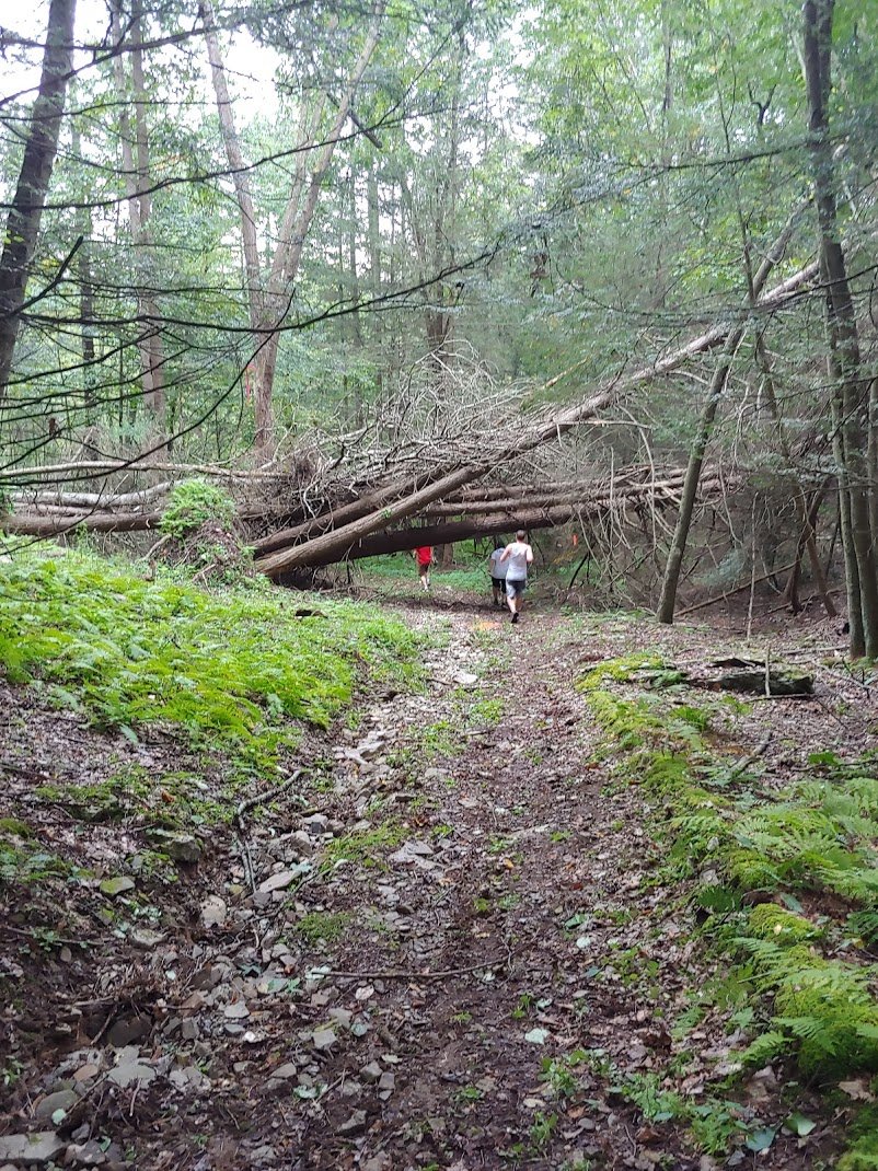 Destination Trail/Road Races in PA Camptown Races