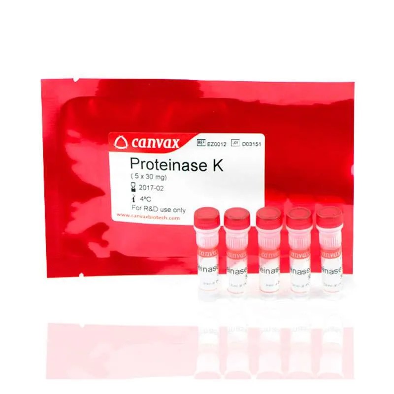 Proteinase K DNA extraction method Genetic Education