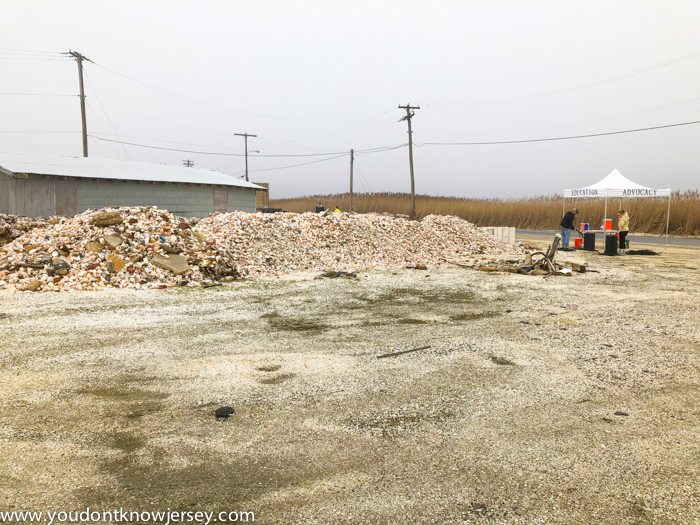 Helping Create an Artificial Reef in the Delaware Bay with the American