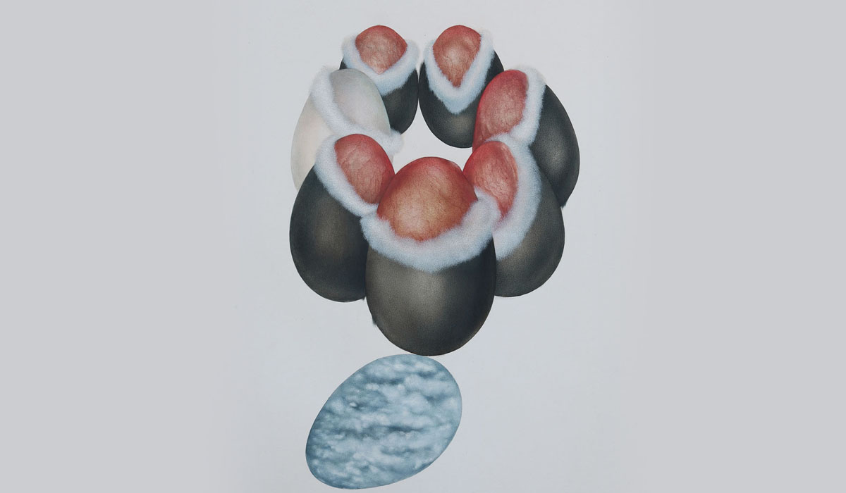 Art Review How Long Will a Goose Sit on Dead Eggs Of