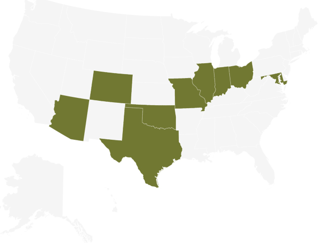 Branch Insurance Review