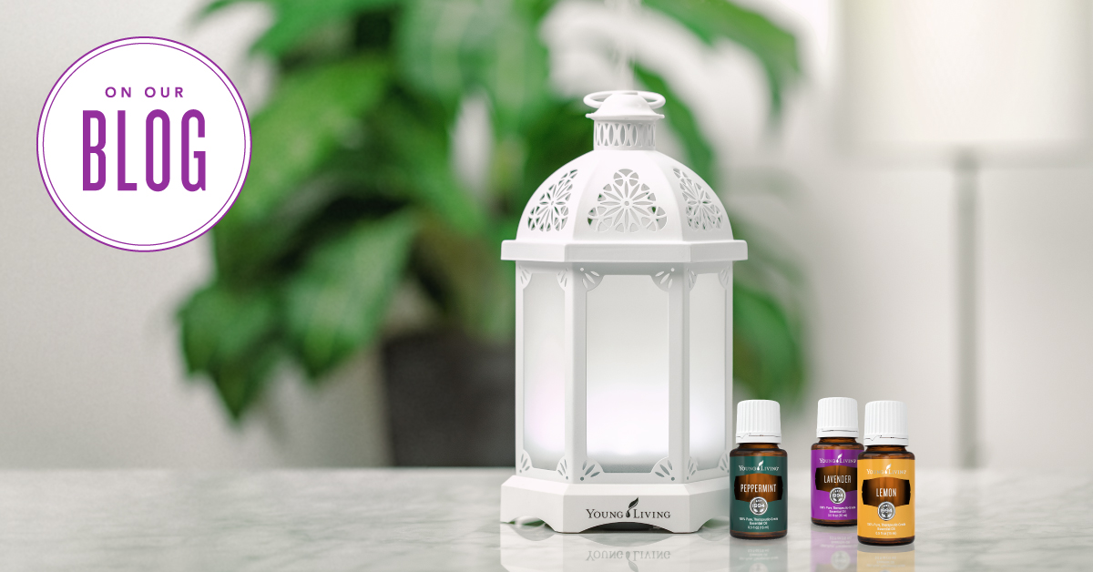 Essential Oil Blends for Diffusers Young Living Blog