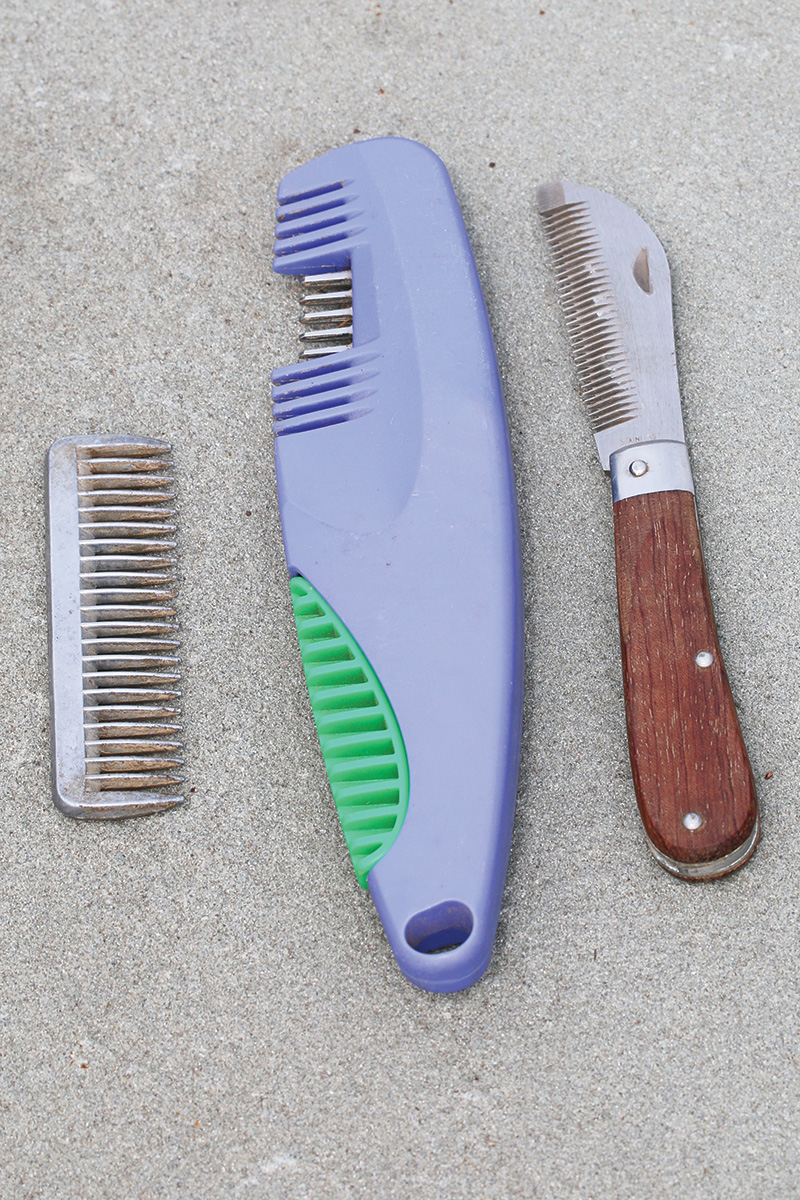 How to Pull Your Horse's Mane Young Rider Magazine