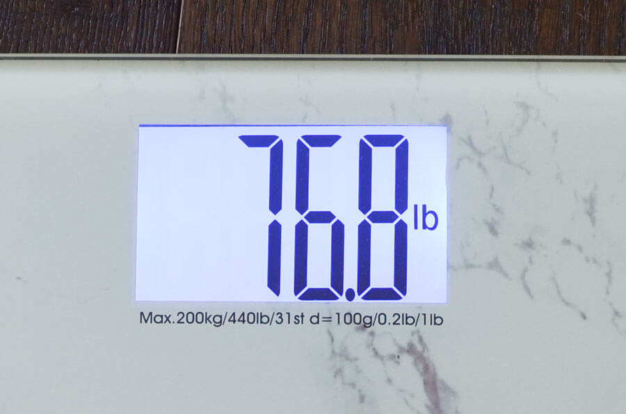 The Best Bathroom Scale of 2021 [Real Testing] - Your Best Digs