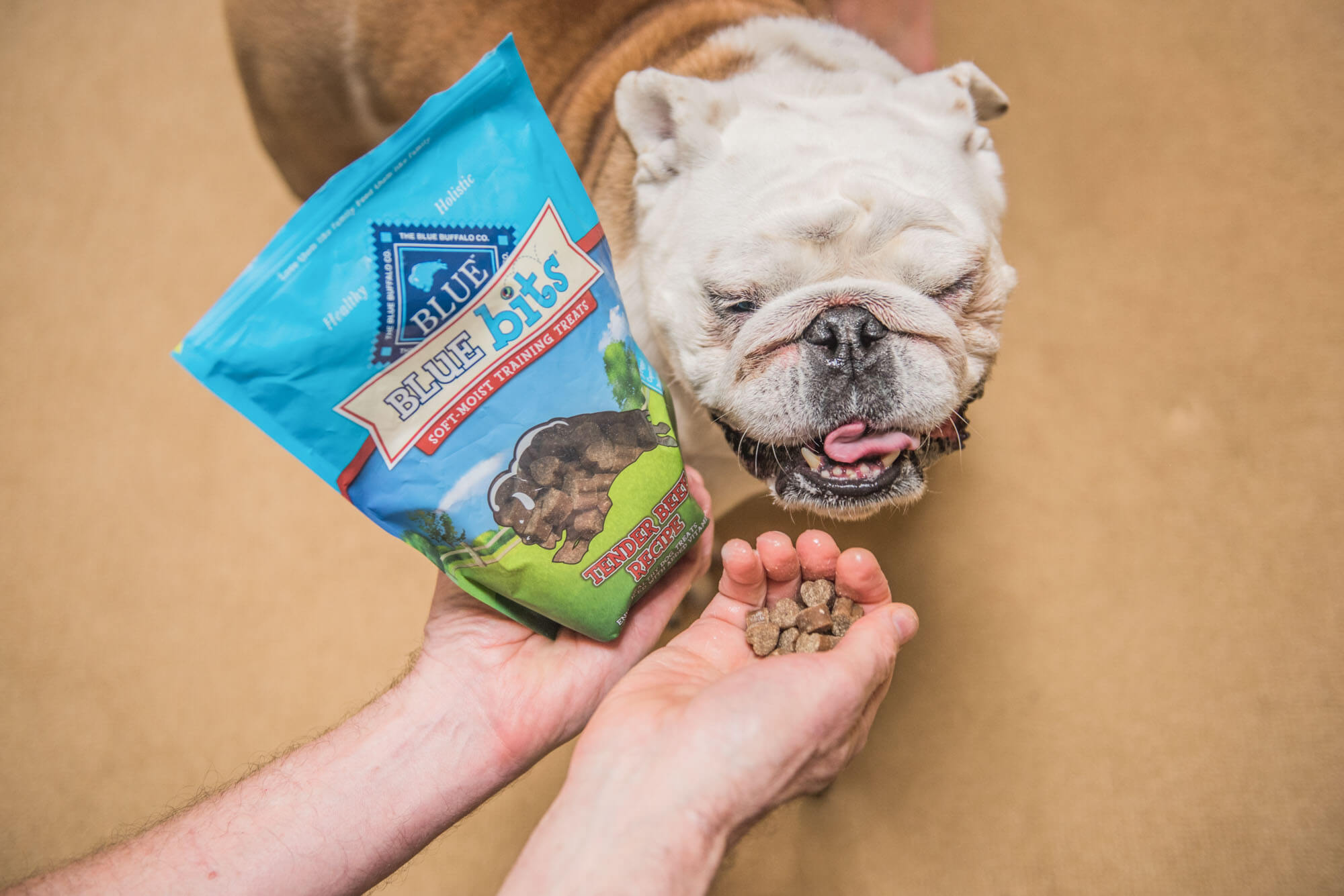 The 9 Best Dog Treats of 2024 Reviews by Your Best Digs