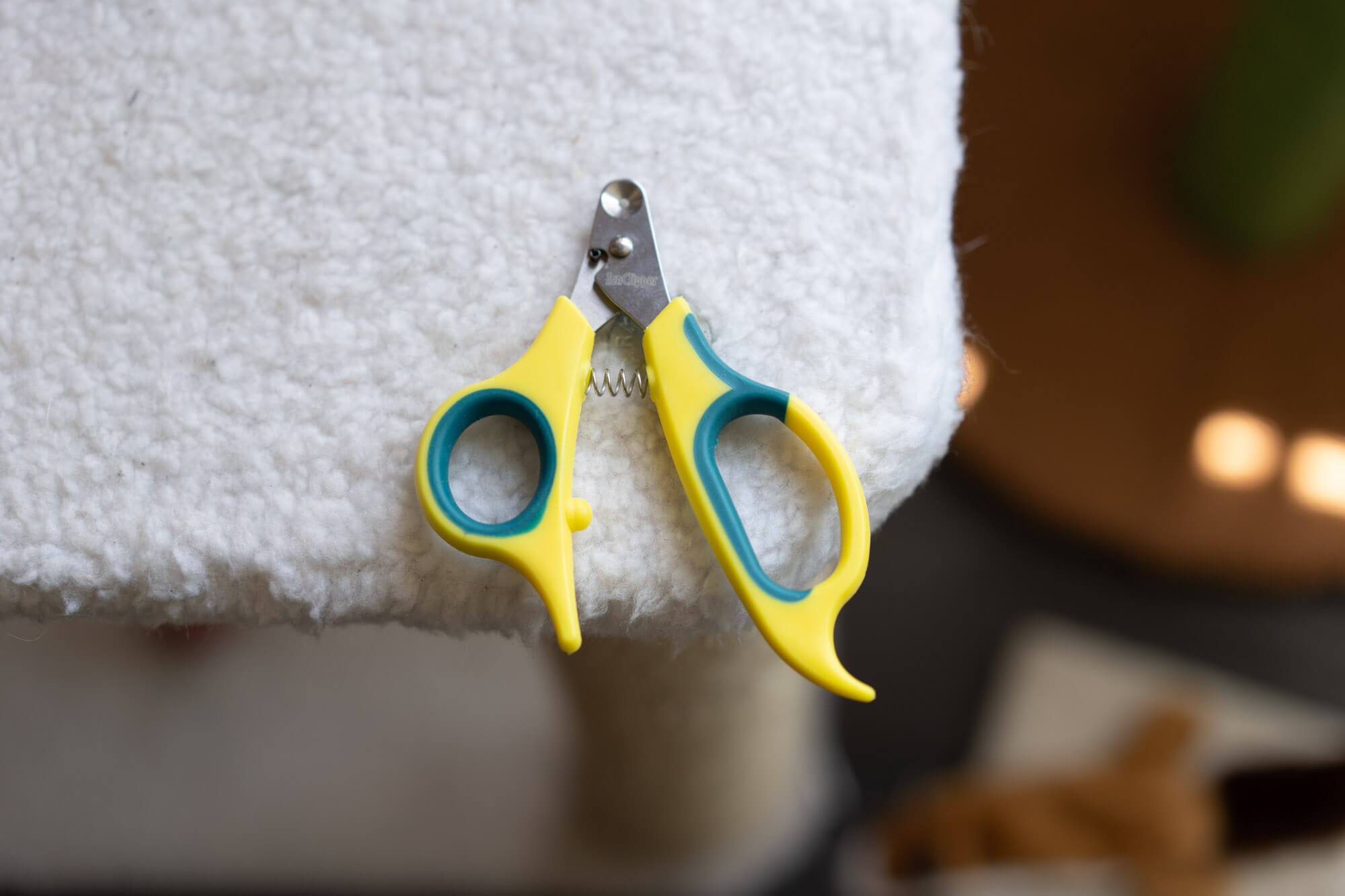 The 10 Best Cat Nail Clippers & Trimmers of 2024 Your Best Digs