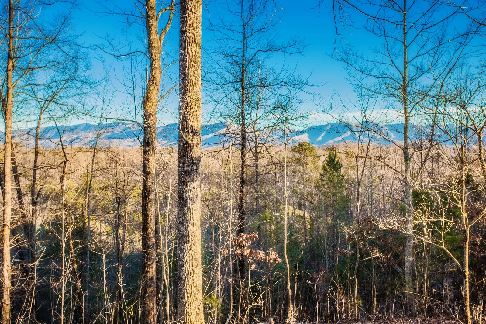 Birds Perch View 2 Bedroom Sevierville Cabin Rental
