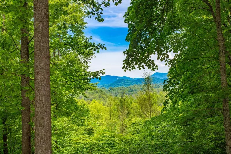 Mountain Top Dream 2 Bedroom Sevierville Cabin Rental