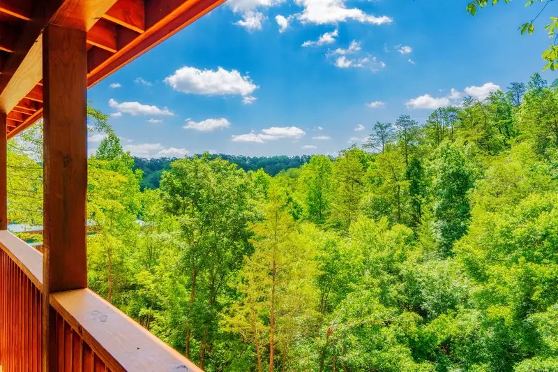 Soaring Eagle 8 Bedroom Pigeon Cabin Rental