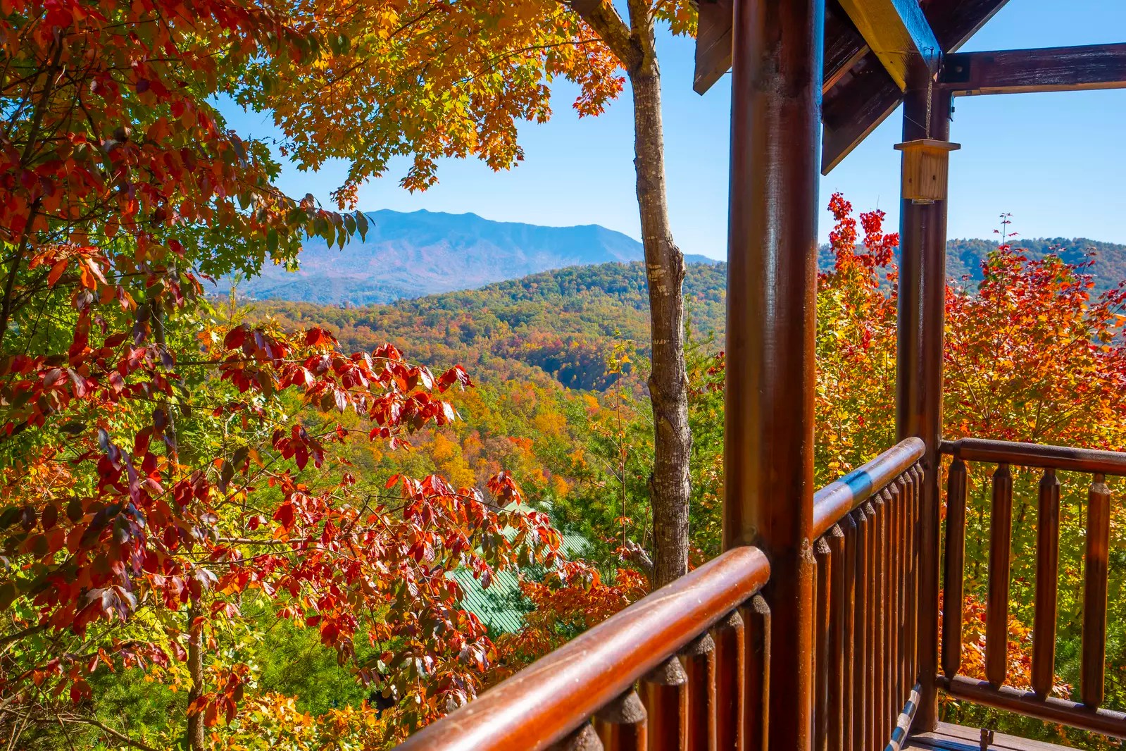 Smoky Vista Romance 2 Bedroom Pigeon Cabin Rental