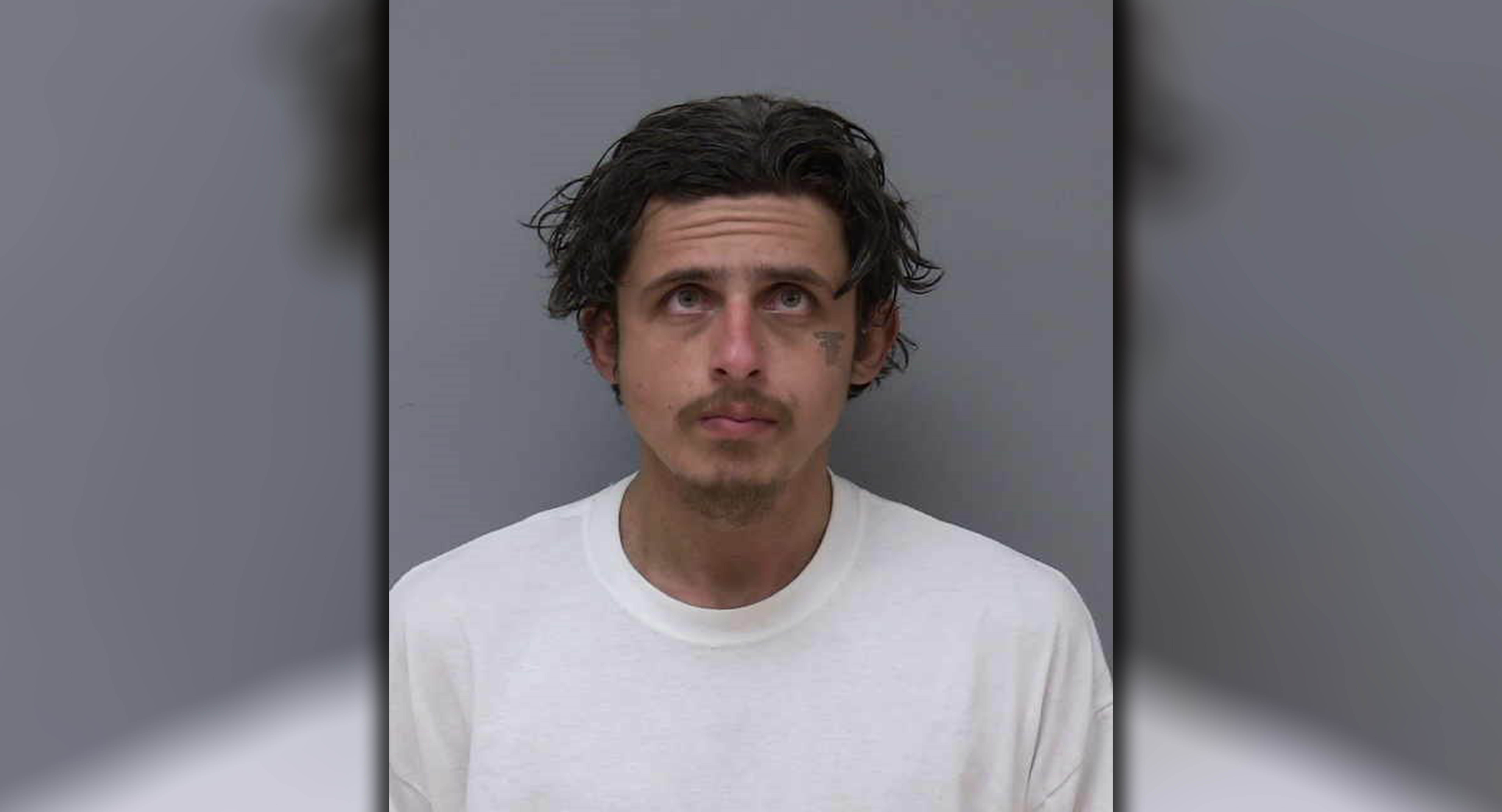 Madera County Jail Mugshots 2025 Rose Sylvie