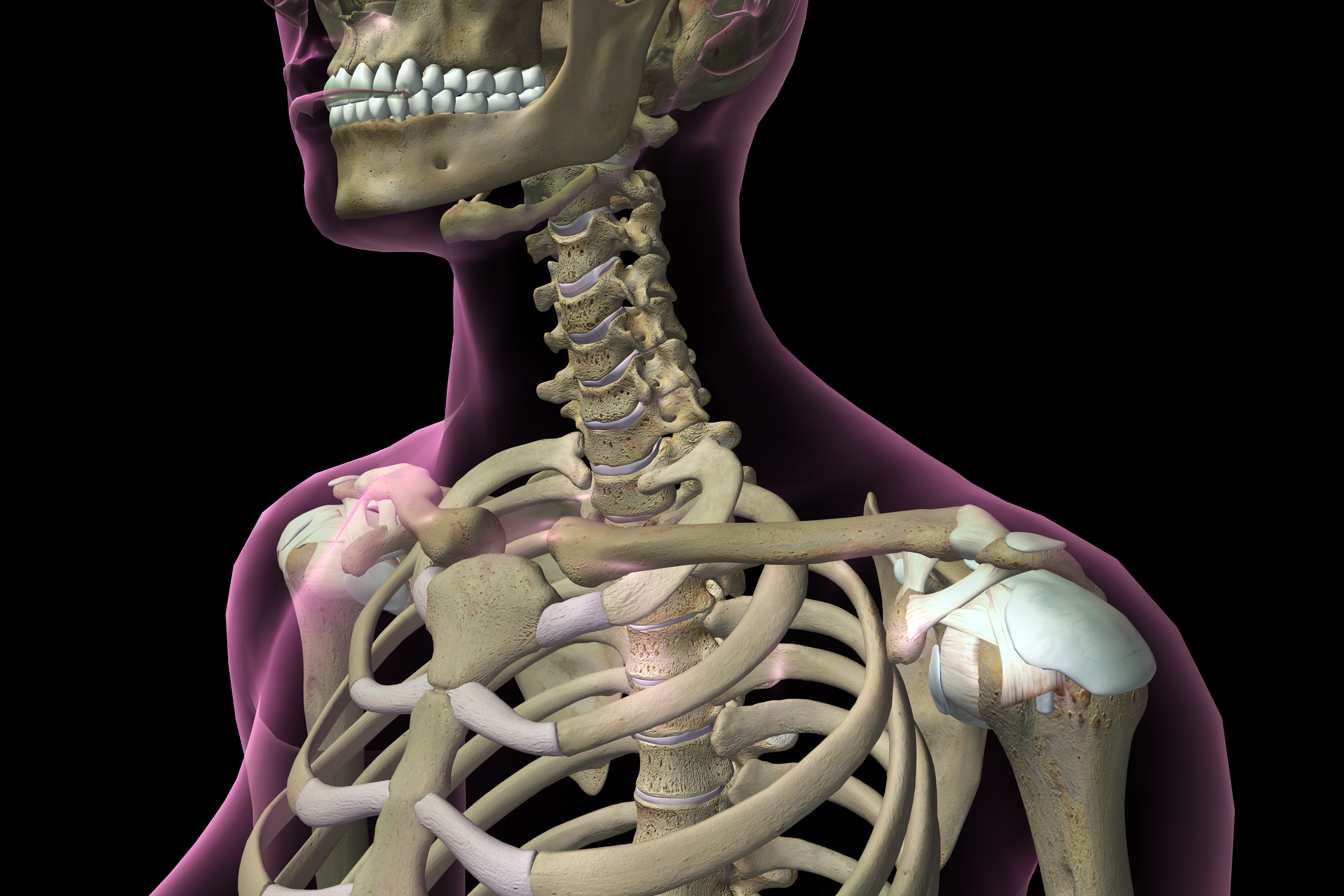 How To Adjust Your First Rib at Kayla Burgess blog