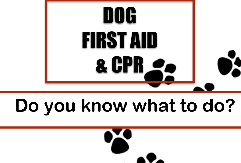 Dog CPR and First Aid