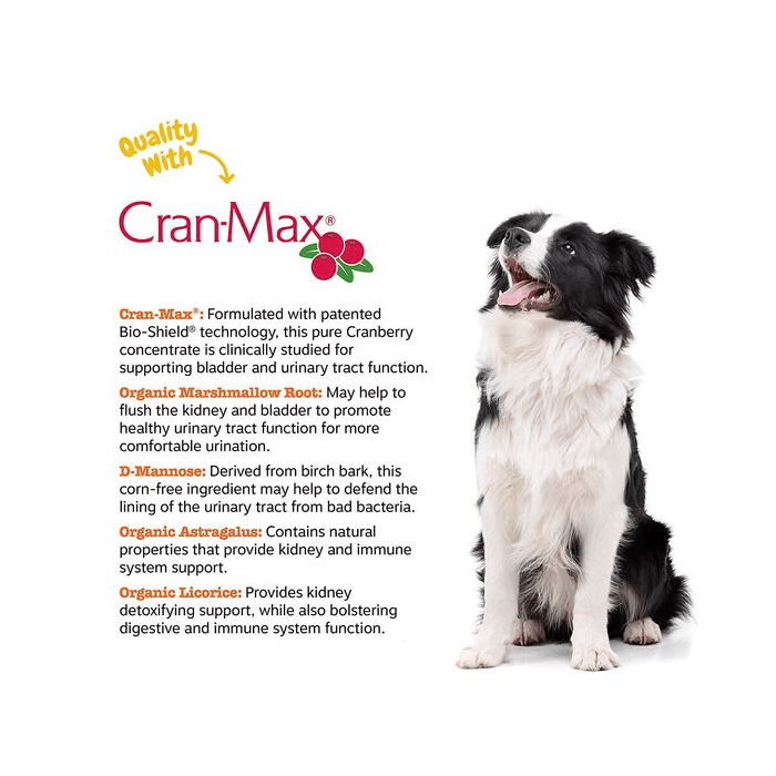 Zesty Paws Cranberry for Dogs UT Incontinence Support + Immune Health Dog Antioxidant