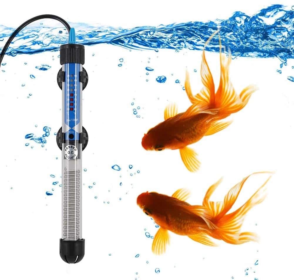 Where Do Betta Fish Live In Their Natural Environment? Your Fish Guide
