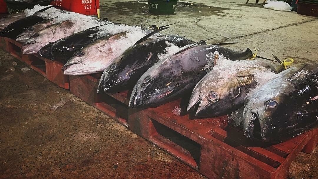 How Long Does Fish Last In The Freezer? Your Fish Guide