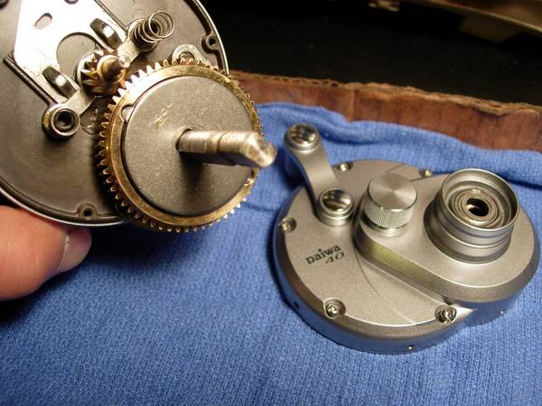 daiwa saltist rebuild | Pier and Surf Forum