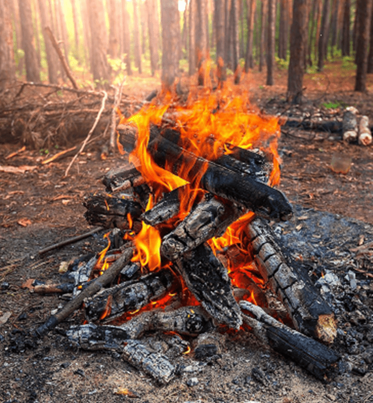 Why You Should Avoid Garden Fires Your Mag Community
