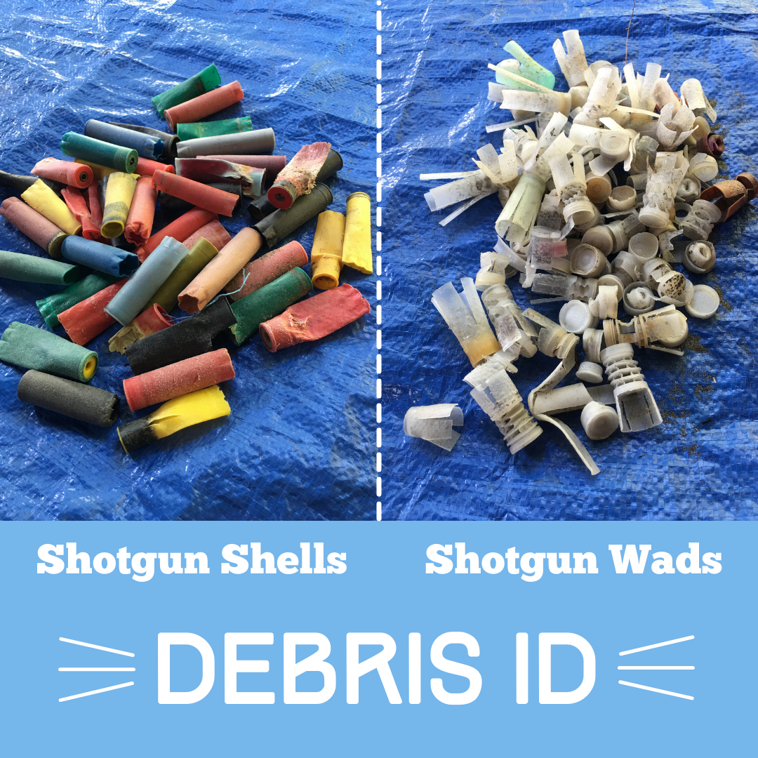 Debris ID Shotgun Shells and Wads NEC